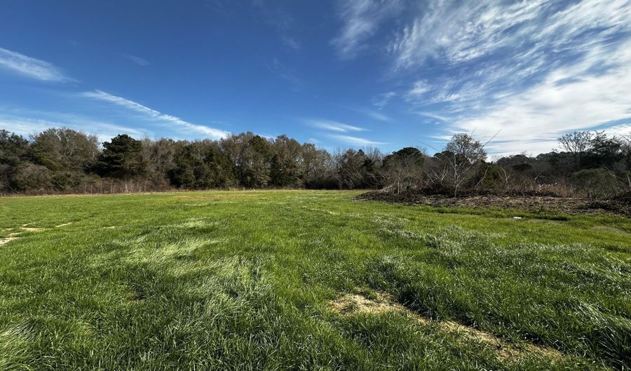 5 AC Charlie Day Rd, Baker, FL 32531 - 0 Beds, 0 Bath