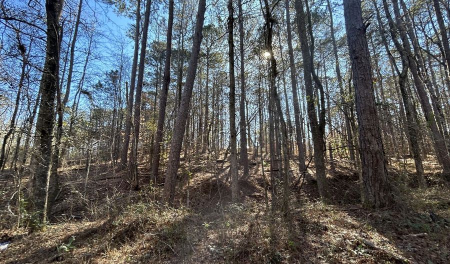N Forty lot 3, Alexander City, AL 35010 - 0 Beds, 0 Bath