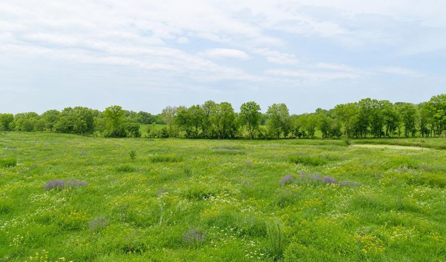 County Road 417, Alton, MO 65606 - 0 Beds, 0 Bath