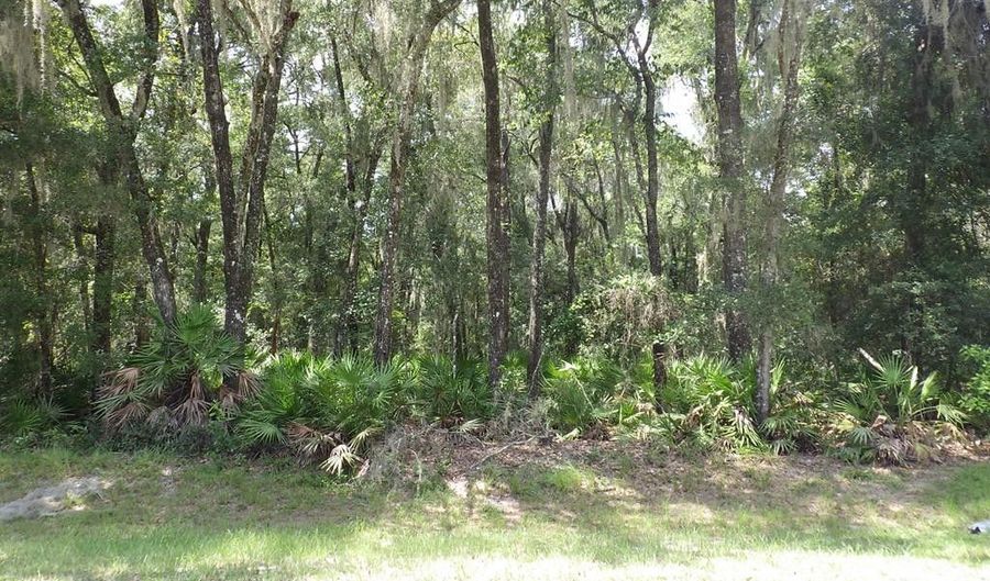 LOT 93 45th Ter, Chiefland, FL 32626 - 0 Beds, 0 Bath