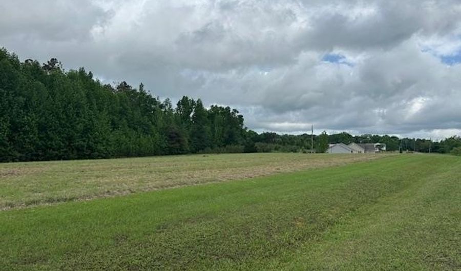 PEAR BLOSSOM Ln, Adamsville, TN 38310 - 0 Beds, 0 Bath