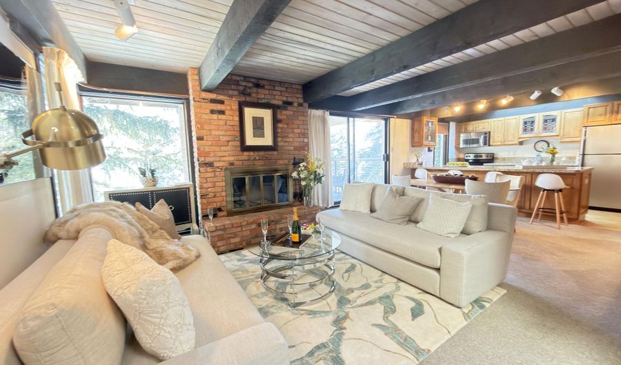 1034 E COOPER Avenue 19, Aspen, CO 81611 - 2 Beds, 2 Bath