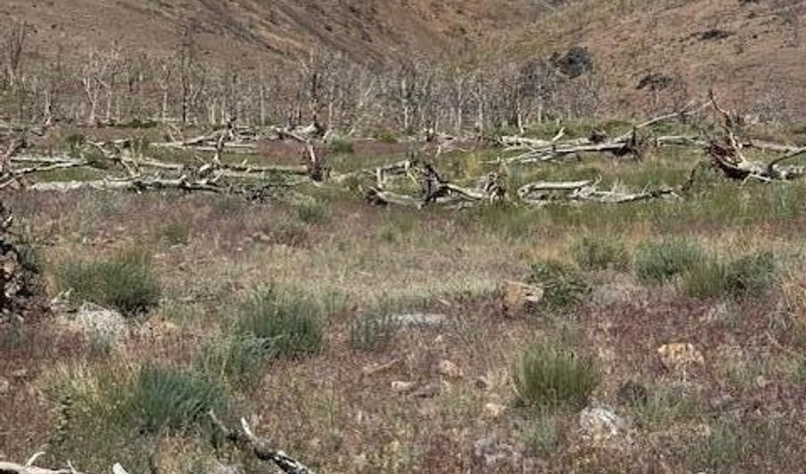 Hwy 395 unit 2 2, Gardnerville, NV 89410 - 0 Beds, 0 Bath