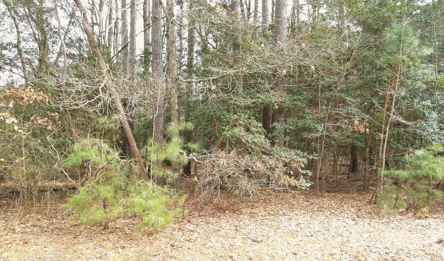 SANDPIPER LANE lot 20, Atlantic, VA 23303 - 0 Beds, 0 Bath