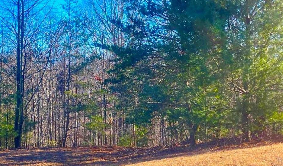 Lot 64 Sweetwater Road, Boomer, NC 28606 - 0 Beds, 0 Bath