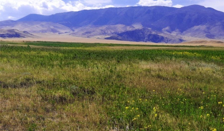 nhn Stagecoach Spur W unit 935-6 935-6, Belfry, MT 59008 - 0 Beds, 0 Bath