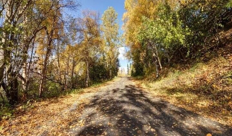 L9 & L10 Feodosia Drive, Anchorage, AK 99516 - 0 Beds, 0 Bath