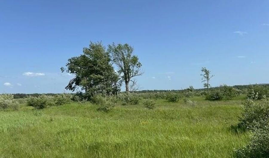 Sunset Boulevard unit 51 51, Alanson, MI 49706 - 0 Beds, 0 Bath