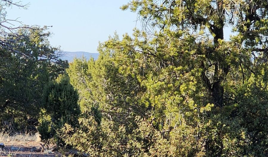 408 N2 Off Caprica Rd, Ash Fork, AZ 86320 - 0 Beds, 0 Bath