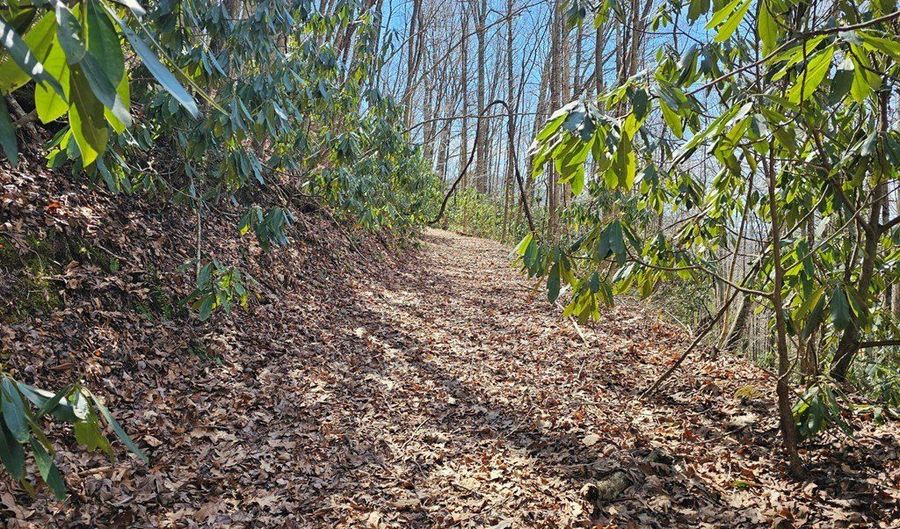 Warrior Way lot 16, Andrews, NC 28901 - 0 Beds, 0 Bath
