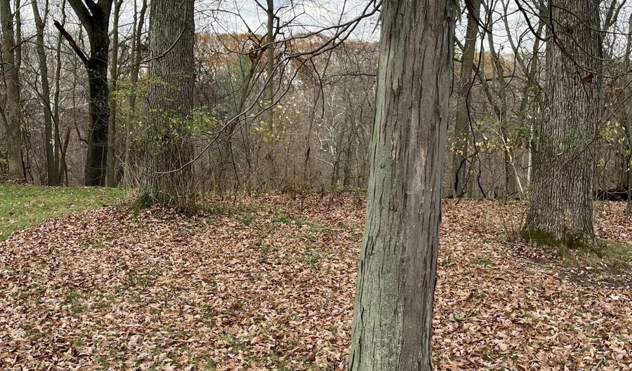 V/L Marshall Street, Allegan, MI 49010 - 0 Beds, 0 Bath