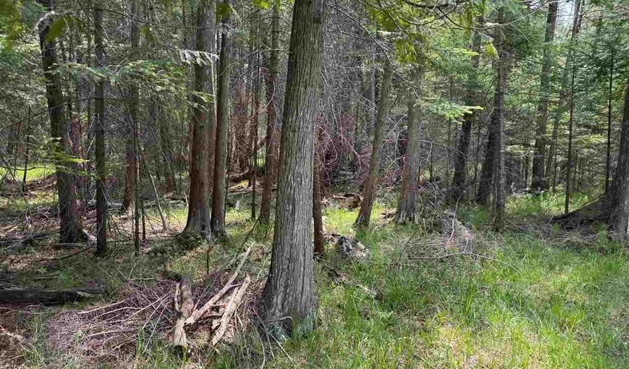 TBD Banwell, Alanson, MI 49706 - 0 Beds, 0 Bath