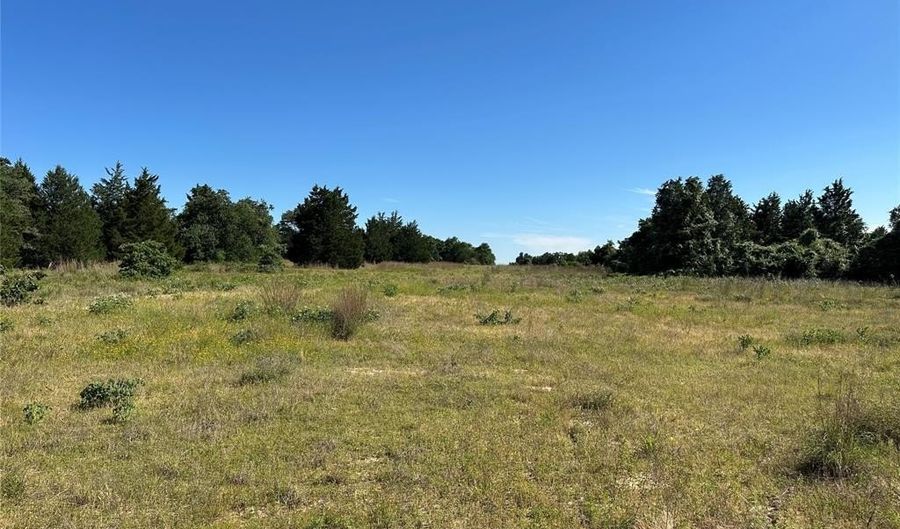 Tbd FCR 720, Teague, TX 75860 - 0 Beds, 0 Bath
