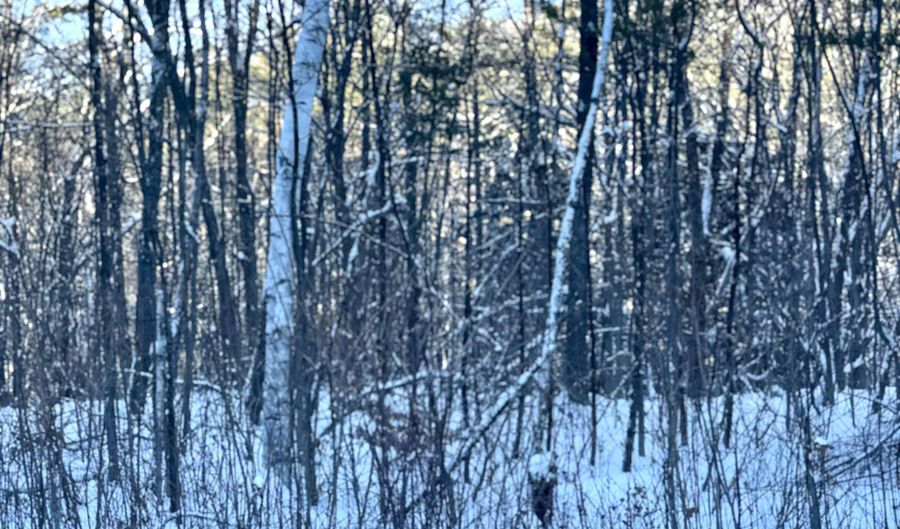 US Route 302 lot 1 2, Bartlett, NH 03812 - 0 Beds, 0 Bath