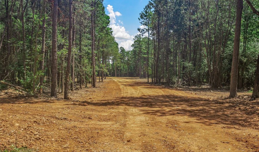 Alden Bridge Loop, Benton, LA 71006 - 0 Beds, 0 Bath