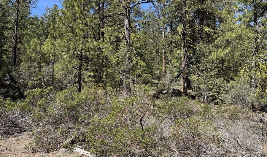 Horned Owl Way 385461, Bonanza, OR 97623 - 0 Beds, 0 Bath