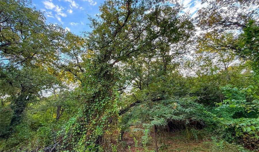 225 County Road 1475, Alvord, TX 76225 - 0 Beds, 0 Bath