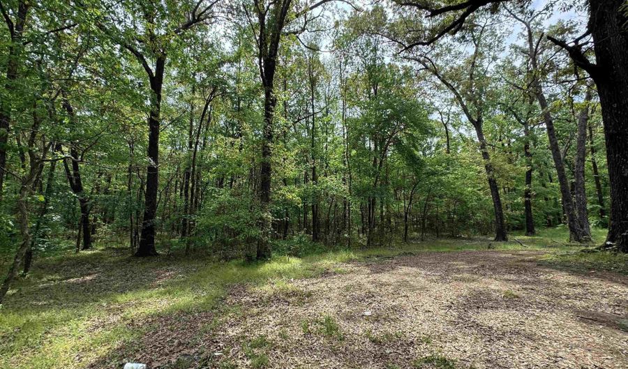 Tract 1 East Bay Road, Atkins, AR 72823 - 0 Beds, 0 Bath