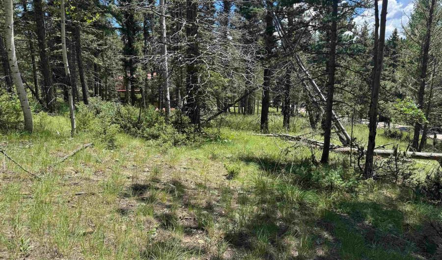 Lot 44 Calle de los Indios, Angel Fire, NM 87710 - 0 Beds, 0 Bath