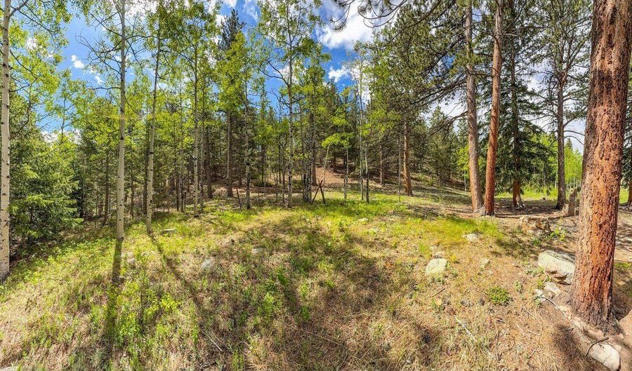412 Highway 7 Business, Allenspark, CO 80510 - 0 Beds, 0 Bath