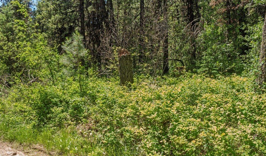513 Susan Rd 42, Cascade, ID 83611 - 0 Beds, 0 Bath