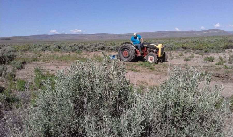 066-070 60 Dry Gulch #1, Gerlach, NV 89412 - 0 Beds, 0 Bath