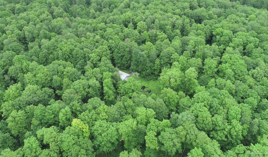 40 Acres The Grade, Amasa, MI 49920 - 0 Beds, 0 Bath
