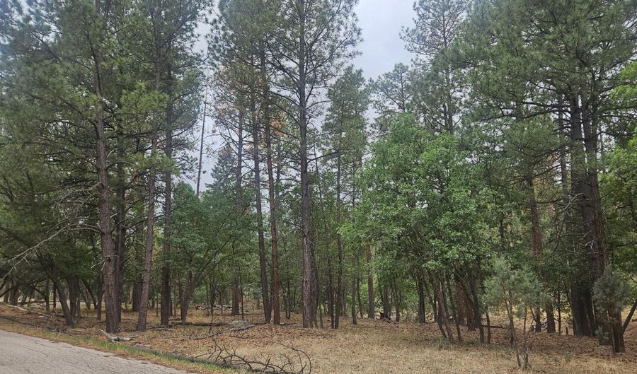 74 Lot Silvertip Trl 5, Alto, NM 88312 - 0 Beds, 0 Bath
