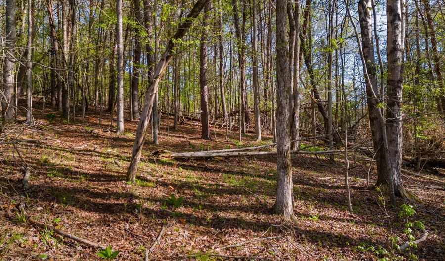 Back Nine Drive lot 13, Baneberry, TN 37890 - 0 Beds, 0 Bath