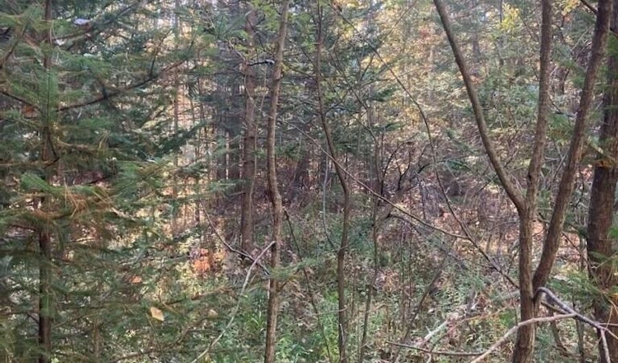 9165 Afton Rd, Afton, MI 49705 - 0 Beds, 0 Bath