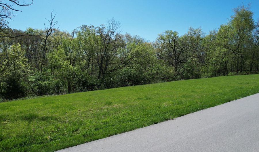 Amended Plat of Mill Creek Street lot 20, Adel, IA 50003 - 0 Beds, 0 Bath