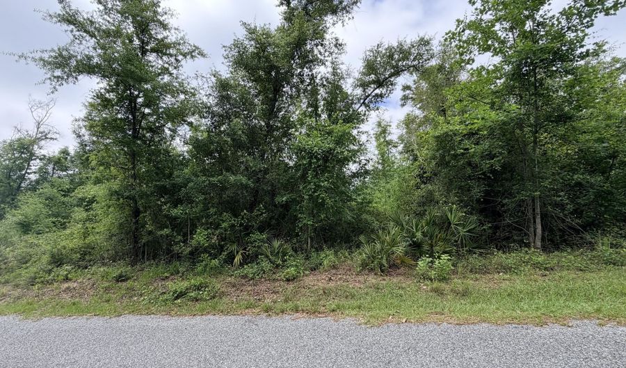 Mona Lane, Alford, FL 32420 - 0 Beds, 0 Bath