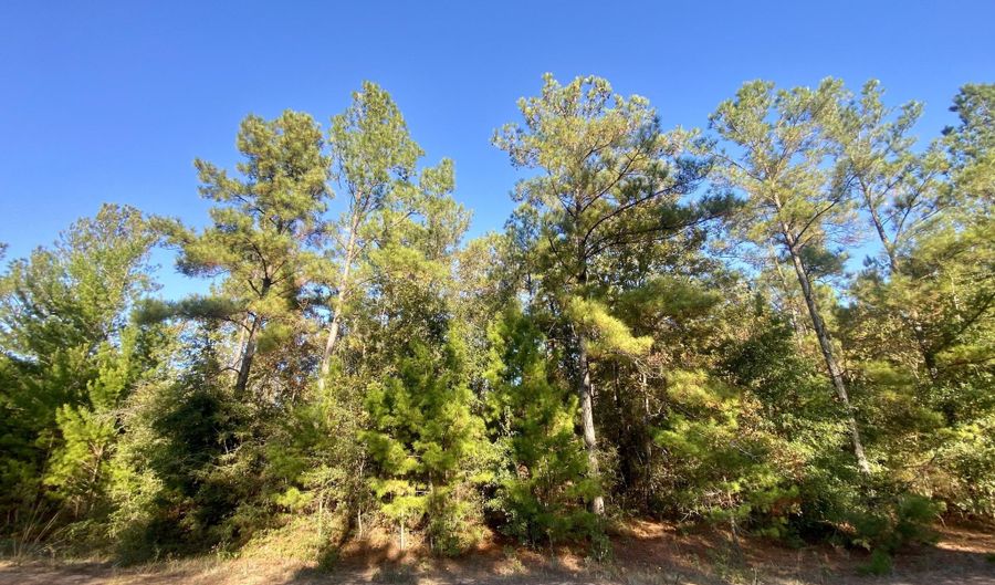 Adams Drive lot 9, Alford, FL 32420 - 0 Beds, 0 Bath