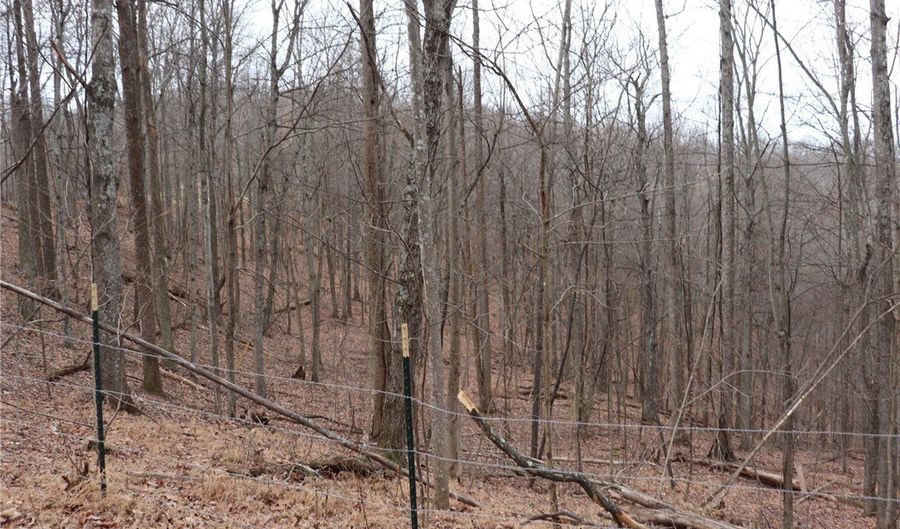 Route 12 Road, Alum Creek, WV 25003 - 0 Beds, 0 Bath