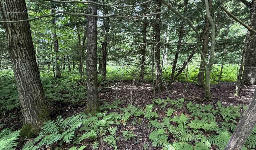1386 Clif Reynolds Rd, Cambridge, VT 05444 - 0 Beds, 0 Bath