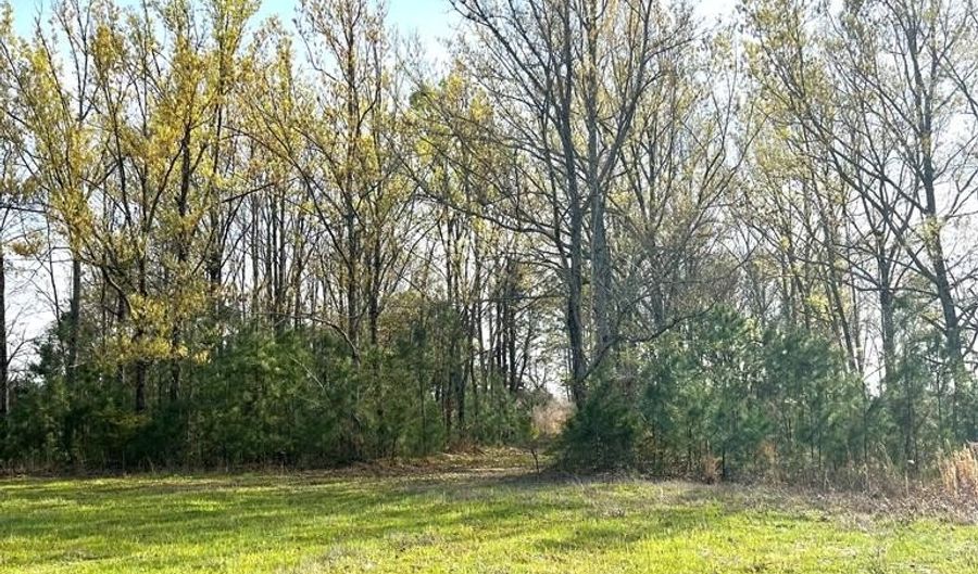 5000 County Road 53, Banks, AL 36005 - 0 Beds, 0 Bath
