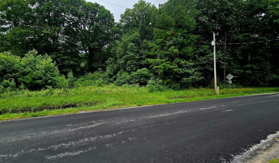 LOT 1 WHITNEY SWAMP ROAD, Bridgeville, DE 19933 - 0 Beds, 0 Bath