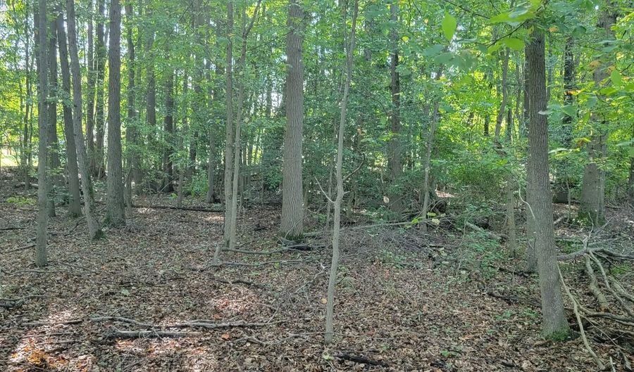 BEECH Lane Parcel 27, Accokeek, MD 20607 - 0 Beds, 0 Bath