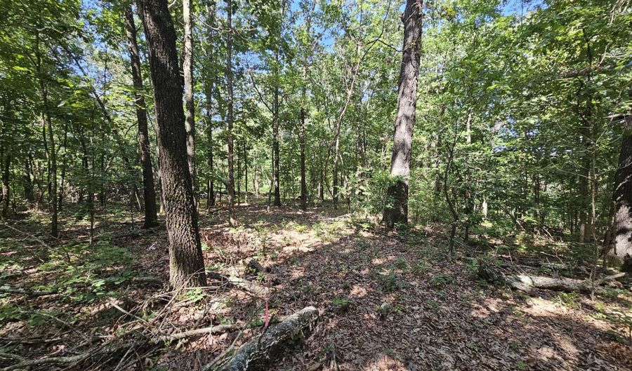 65 Acres Plainview Rd, Anderson, MO 64831 - 0 Beds, 0 Bath