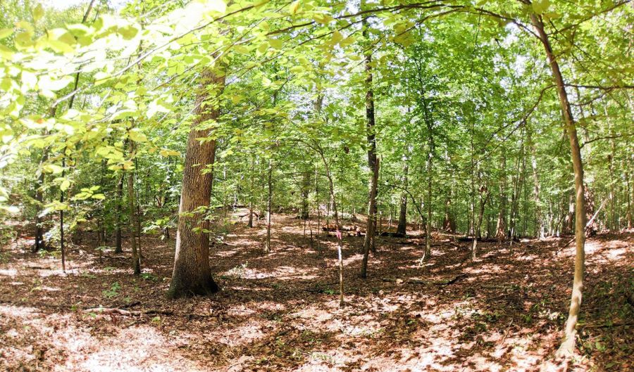 LAUREL Drive, Accokeek, MD 20607 - 0 Beds, 0 Bath