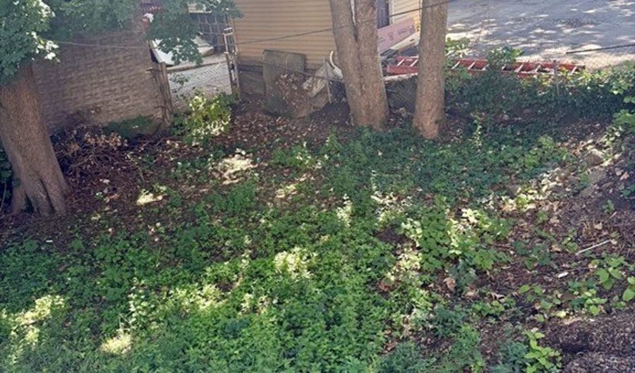 54 Richfield St, Boston, MA 02125 - 5 Beds, 2 Bath