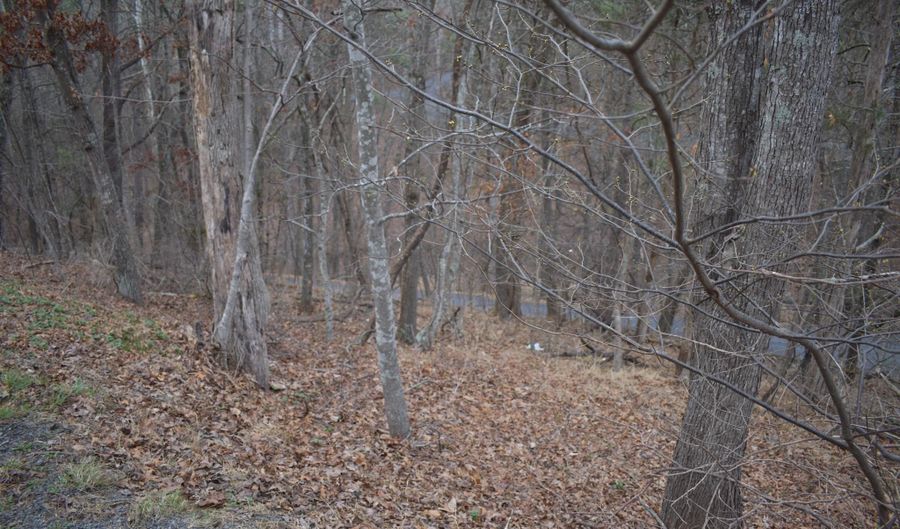 ANDERSON Road, Basye, VA 22810 - 0 Beds, 0 Bath
