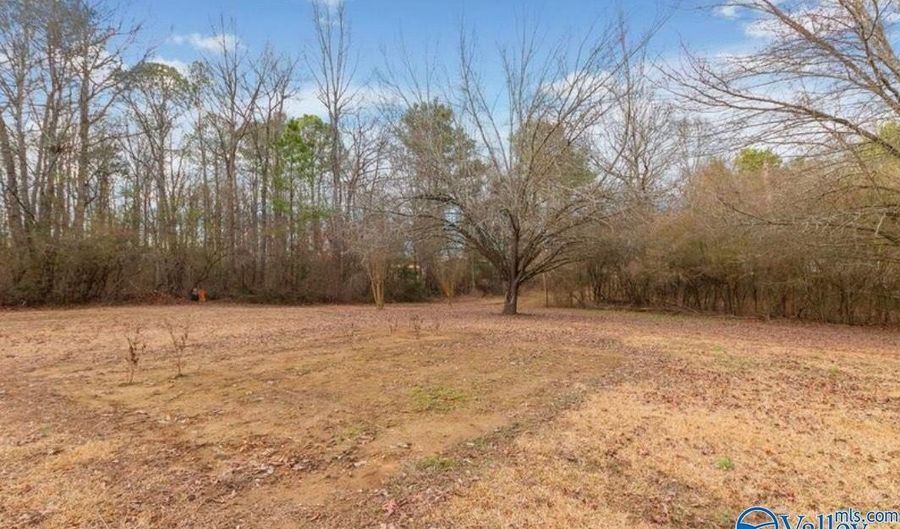 4435 County Road 1763, Arab, AL 35016 - 4 Beds, 2 Bath