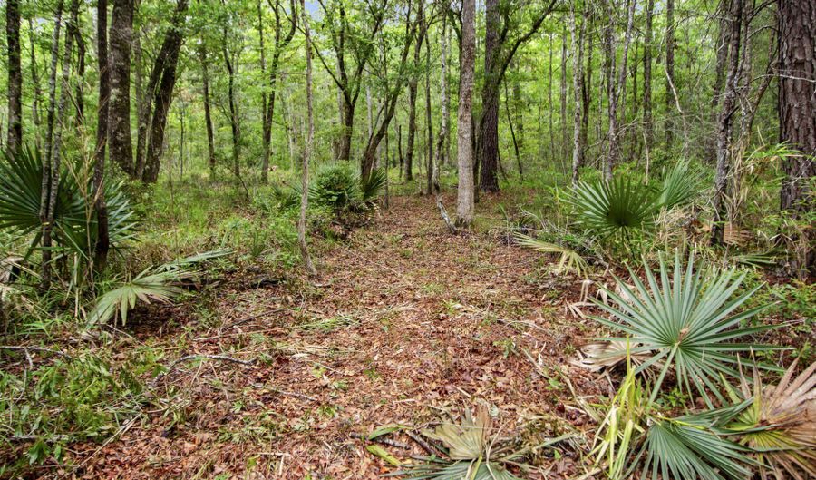 4848 Woodville Rd, Awendaw, SC 29429 - 0 Beds, 0 Bath