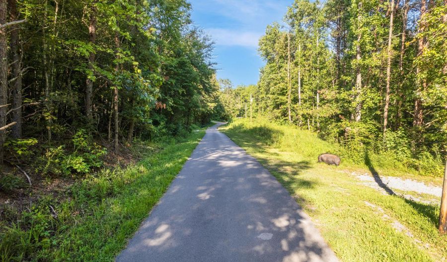 Steve Brown Rd, Bean Station, TN 37708 - 0 Beds, 0 Bath