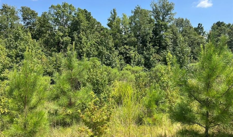 0 Ellis Jones Rd, Bienville, LA 71008 - 0 Beds, 0 Bath