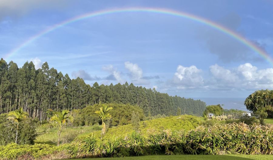 2114- B KAIWIKI Rd, Hilo, HI 96720 - 4 Beds, 3 Bath