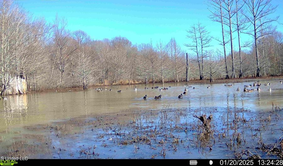 Gun Baoyu Road, Belzoni, MS 39038 - 0 Beds, 0 Bath