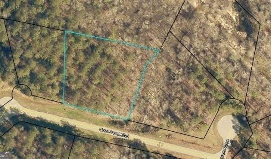 Lot 112 Cole Forest LOT 112, Barnesville, GA 30204 - 0 Beds, 0 Bath