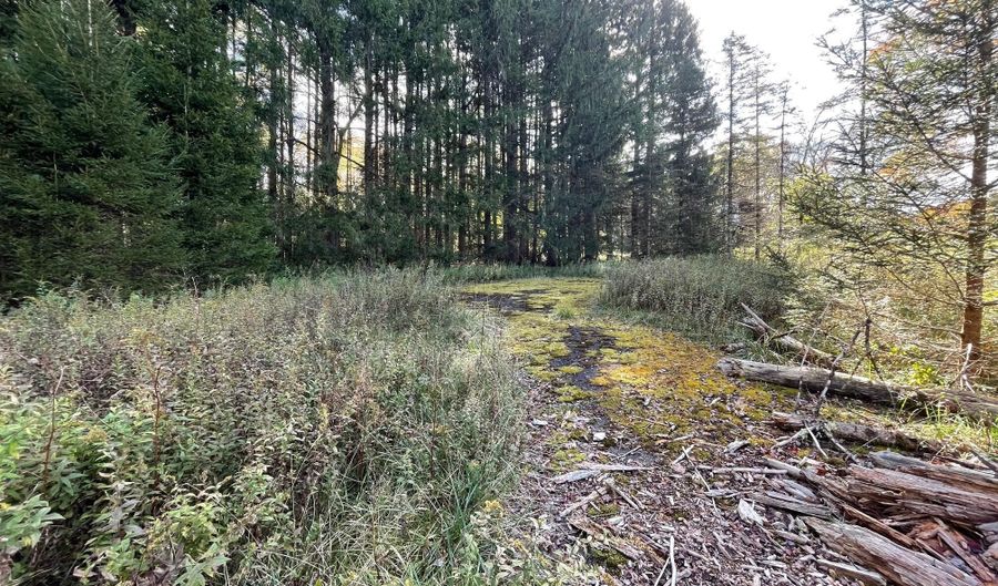 Henning Road, Albrightsville, PA 18210 - 0 Beds, 0 Bath